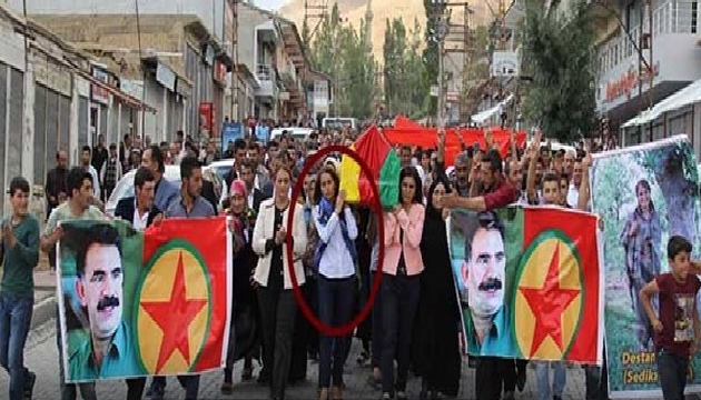 HDP-PKK birlikteliğinin resmi: