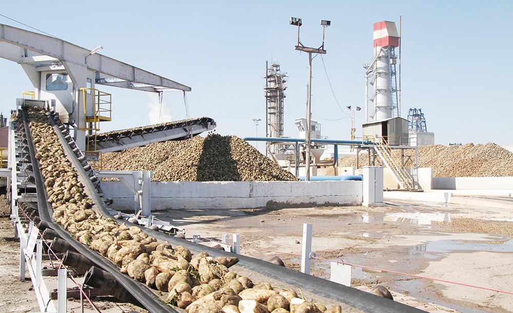 Türkiye Şeker Fabrikaları na ait 18 arazi satıldı