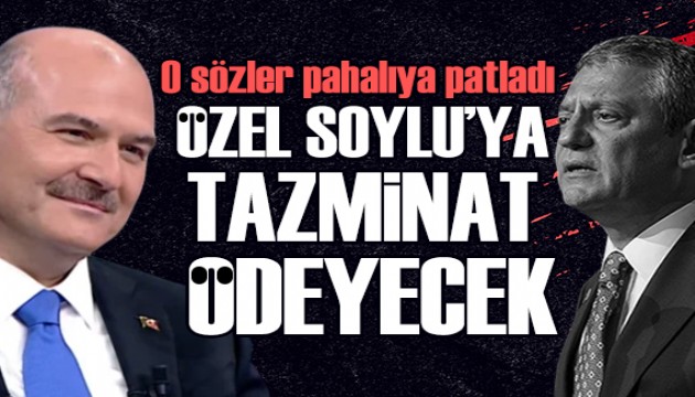 Sahtekar S�l� payla��m�na ceza: �zel, Soylu'ya tazminat �deyecek