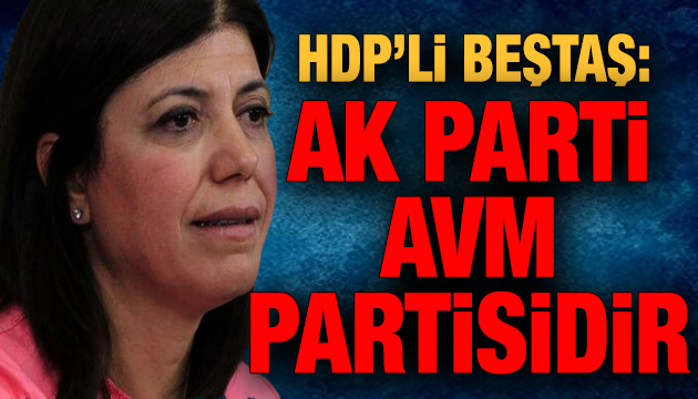 HDP li Beştaş: AKP bir AVM partisidir