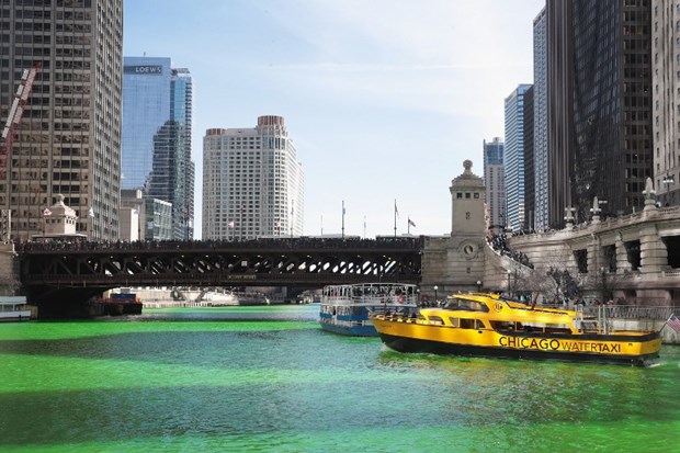 Chicago nehri yeşile boyandı