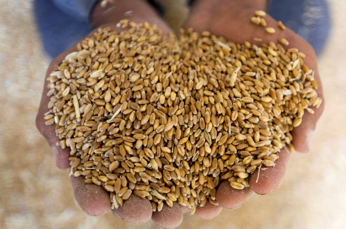 ABD, tahıl koridoru için alternatif arıyor