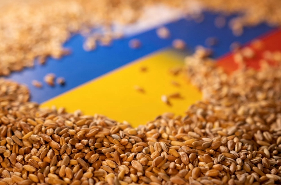 AB den tahıl ürünleri ithalatı kararı