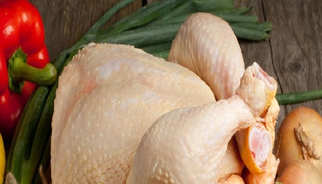 Türkiye de tavuk eti güvenilir mi?