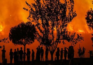 İzmir de ağaçlık alanda yangın çıktı!