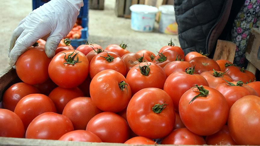 Rusya dan Türk domatesi hamlesi