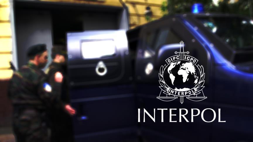 Interpol Alman vatandaşın dolandırılmasını önledi