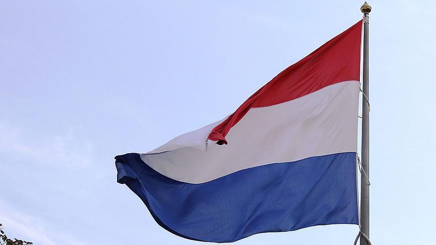 Hollanda da durumu kınadı