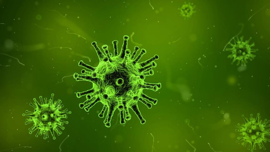 10 yılda yeni bir grip salgını bekleniyor
