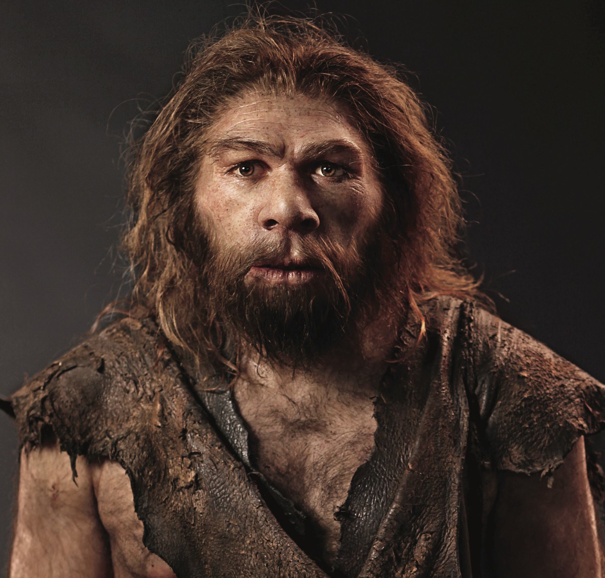 a review of the life of homo sapiens in the film brainorigin of us One grand search engine for all the qualities that make homo sapiens different from other species as well as in the origin of more by michael s gazzaniga. a review of the life of homo sapiens in the film brainorigin of us One grand search engine for all the qualities that make homo sapiens different from other species as well as in the origin of more by michael s gazzaniga.