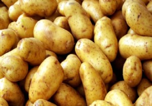 Patates fiyatına hasat freni