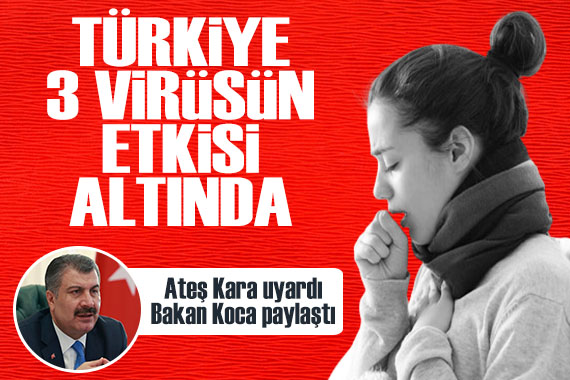 Prof. Dr. Ateş Kara uyardı, Bakan Koca paylaştı: Türkiye, 3 virüsün etkisi altında!