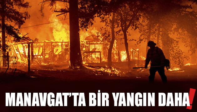 Manavgat’ta bir orman yangını daha