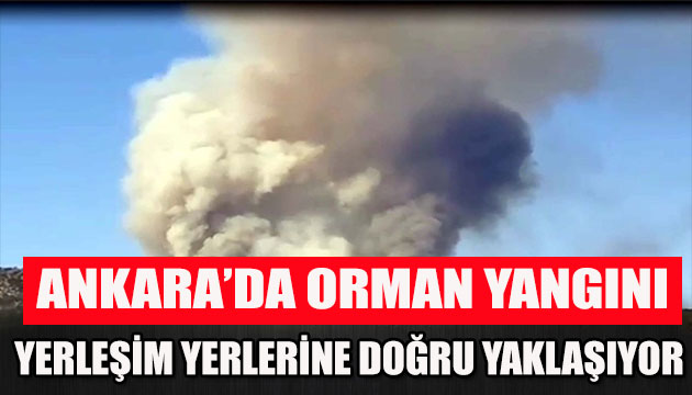 Ankara da orman yangını