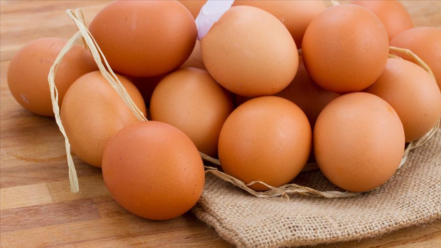 Yumurta üreticisi sıkıntıda