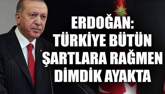 Erdoğan: Türkiye bütün şartlara rağmen dimdik ayakta