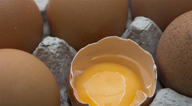 Yumurtanın sarısına dikkat!