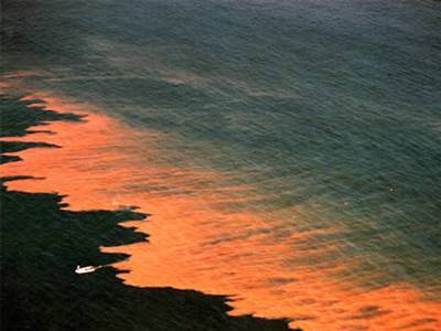 Nadir Görülen Doğa Olayları - 6. fotoğraf
