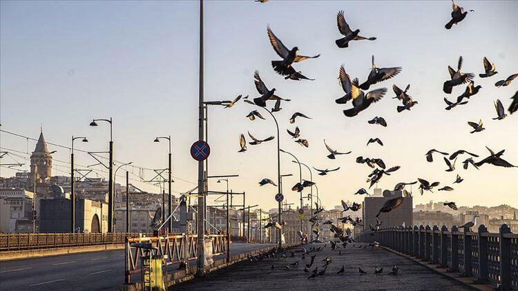 81 ile genelge gönderildi! İşte sokağa çıkma yasağının detayları - 24. fotoğraf