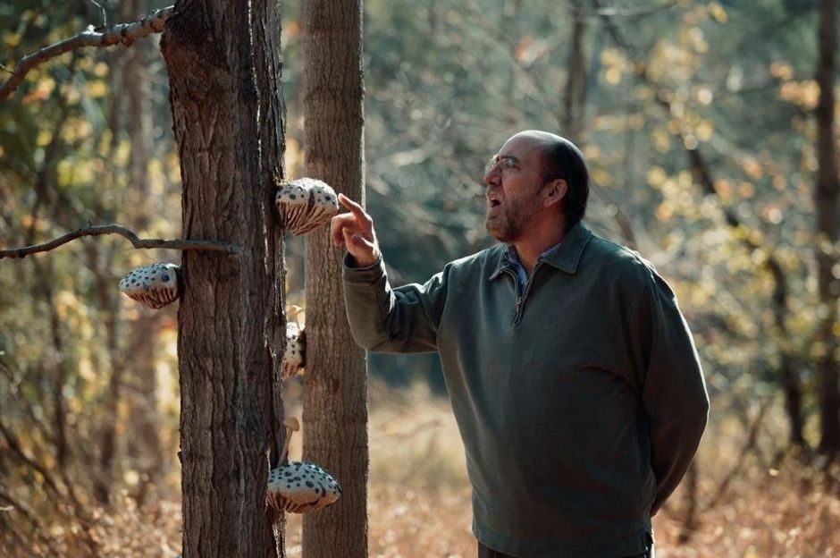 Bu hafta hangi filmler vizyonda? İşte haftanın filmleri... - 10. fotoğraf