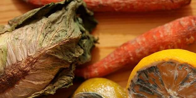 Uzmanı uyardı: Küflü gıdaları tüketmek kansere bile yol açabilir! - 9. fotoğraf