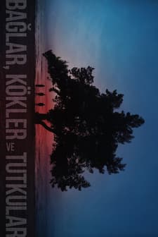 Bu hafta hangi filmler vizyonda? İşte haftanın filmleri... - 9. fotoğraf