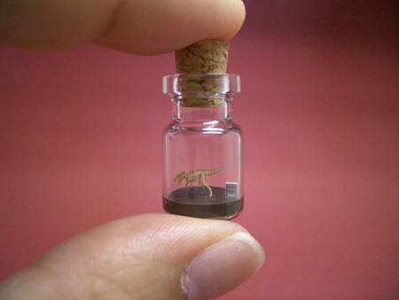 Yaratıcı Fotoğralarla Gezintiye Ne Dersiniz - 17. fotoğraf
