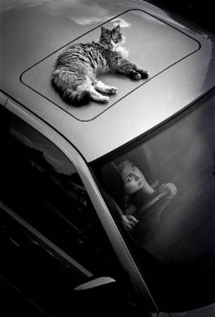 Bu Fotoğraflar Çok Dikkat Çekiyor  - 19. fotoğraf