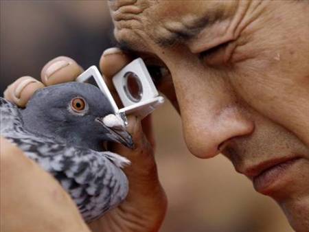Hayvanlara Görme Duyusuna Hayran Kalacaksınız! - 3. fotoğraf