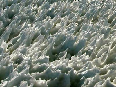 Nadir Görülen Doğa Olayları - 5. fotoğraf
