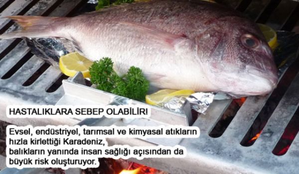 Balığı Böyle Pişirmeyin Faydası YOK! - 3. fotoğraf