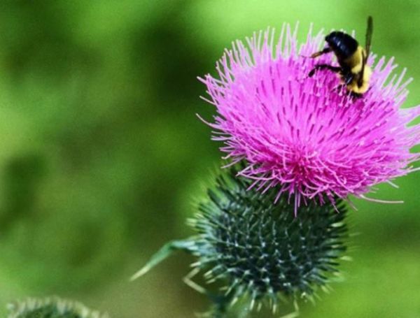 Büyük kahinin şok bir kehaneti daha ortaya çıktı! - 4. fotoğraf