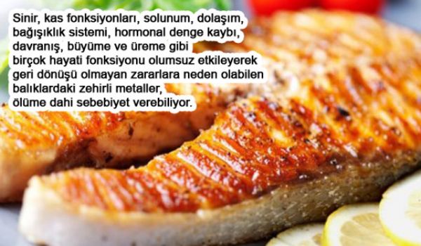 Balığı Böyle Pişirmeyin Faydası YOK! - 5. fotoğraf