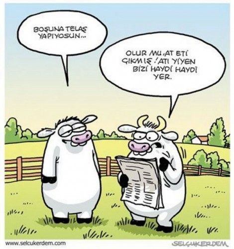 EN KOMİK KURBAN BAYRAMI KARİKATÜRLERİ-1- - 16. fotoğraf