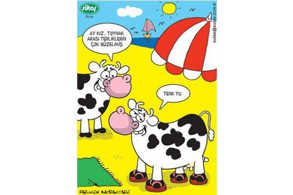 Baktıkça Güleceğiniz Yaz Tatili Karikatürleri! - 2. fotoğraf