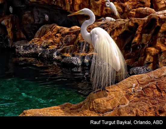 Türkiye'nin En iyi Fotoğrafları - 10. fotoğraf