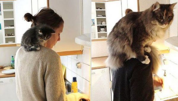Evcil Hayvanları ile Verdikleri Eski Pozları Tekrar Canlandıran 27 Kişi - 15. fotoğraf