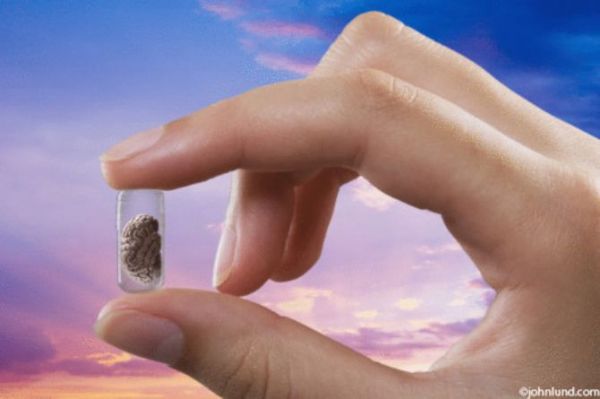 Karşınızdakinin zeki olduğunu nasıl anlarsınız? - 8. fotoğraf