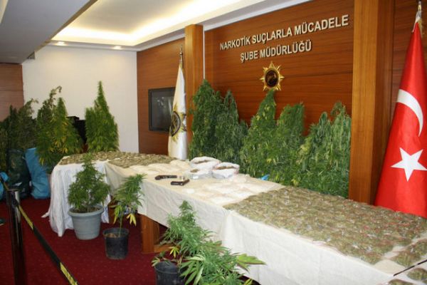 Ünlü Oyuncunun Boğaz Manzaralı Villasında Esrar Bahçesi! - 6. fotoğraf