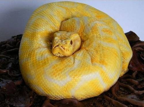 DOĞUM GÜNÜNDE HAYATININ ŞOKUNU YAŞADI! PASTAYI GÖRÜNCE HEPSİ TUVALETE KAÇTI! - 5. fotoğraf