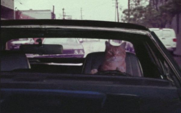 Dünya 90 kuşağında bu oyunlarla büyüdü! - 35. fotoğraf