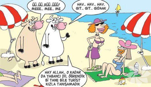 Baktıkça Güleceğiniz Yaz Tatili Karikatürleri! - 11. fotoğraf