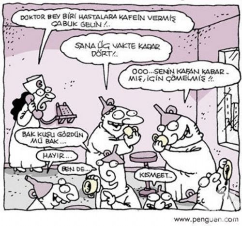 Herkesi gülmekten kırıp geçiren hunili karikatürleri! - 5. fotoğraf