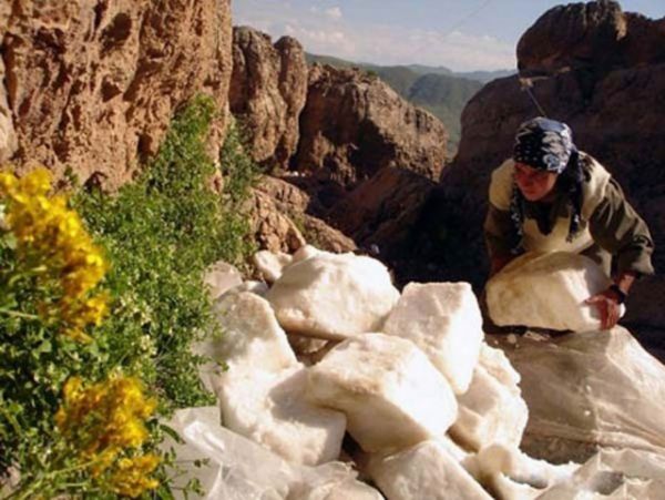 Bir PKK'lının Günlüğünden Çıkanlar! Dehşete Düşüren İtiraflar... - 5. fotoğraf