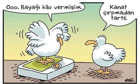 Gülmekten Yanaklarınızı Ağrıtacak Karikatürler - 19. fotoğraf