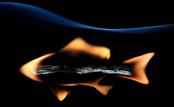 YUMURTANIN İÇİNE KİBRİT ATARSANIZ ÖYLE BİR ŞEY OLUYOR Kİ.. - 11. fotoğraf
