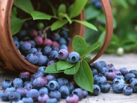 KESİNLİKLE DENEYİN İNANILMAZ ETKİSİ VAR! GÖBEĞİ ERİTEN MUCİZE KÜR..! - 3. fotoğraf