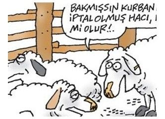 EN KOMİK KURBAN BAYRAMI KARİKATÜRLERİ-1- - 9. fotoğraf