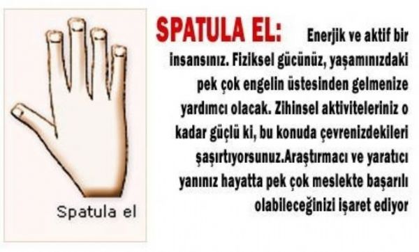 Elinizin Şekli Karakterinizi Ele Veriyor..! - 5. fotoğraf