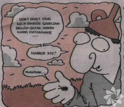 Herkesi gülmekten kırıp geçiren hunili karikatürleri! - 12. fotoğraf